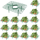 15Packs Strawberry Plant Support, Strawberry Plant Stand Holder Reusable Strawberry Plant Protector Greenhouse Strawberry Trellis Accessories Strawberry Planter for Strawberry Garden Plants