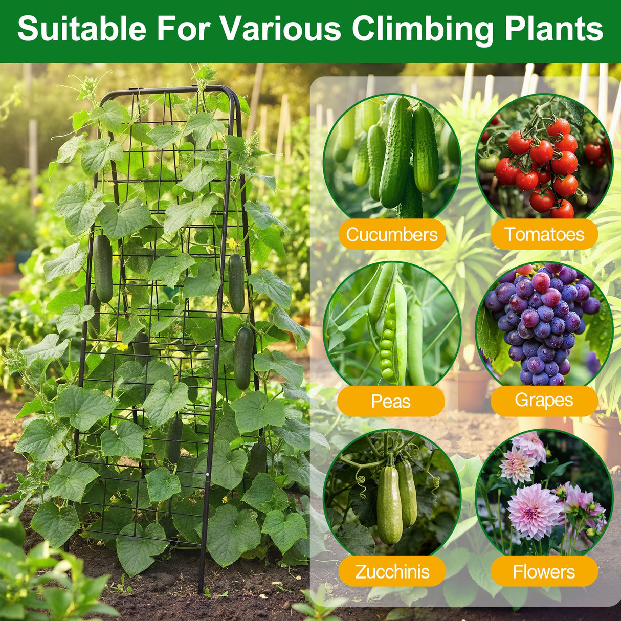 WAENLIR 50x17inch Cucumber Trellis Tomato cage with Dense Steel Grid–A-Frame Heavy Duty Metal Trellis for Raised Beds, Cattle Panels for Garden Trellis for Climbing Plants Outdoor (Black, 50x17inch)