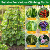 WAENLIR 50x17inch Cucumber Trellis Tomato cage with Dense Steel Grid–A-Frame Heavy Duty Metal Trellis for Raised Beds, Cattle Panels for Garden Trellis for Climbing Plants Outdoor (Black, 50x17inch)
