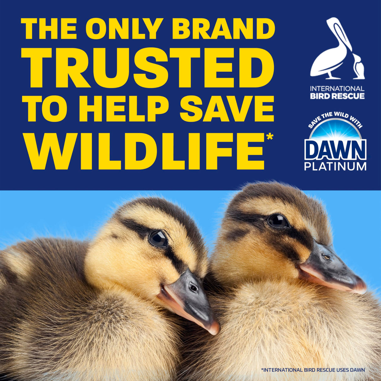 Dawn Platinum Dish Soap Liquid, Dishwashing Liquid, Grease Removal, Fresh Rain, 2x54.8oz Bundle