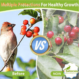 Fruit Tree Netting 2 Pack 8x8 FT with Drawstring & Zipper - Reusable Plant Protection Bag, Heavy Duty PE Mesh Cover for Blueberry Bushes - Blocks Birds/Deer/Squirrels