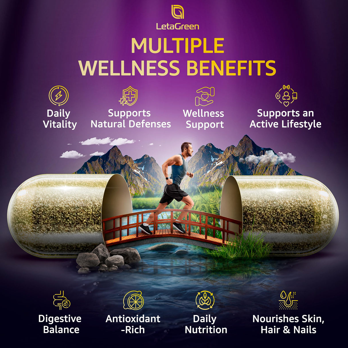 LetaGreen Sea Moss Black Seed Oil Ashwagandha Bladderwrack Burdock Turmeric & Vitamin C, D3, K2 with ACV Elderberry Manuka Honey Dandelion Yellow Dock Iodine Chlorophyll 240 Count