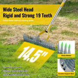 Thatch Rake, 2 in 1 Stainless Steel Garden Rake for Thatch Leaves,55” Heavy Duty 19 Tines Lawn Manual Dethatcher with Adjustable Head,Thatching Rakes for Lawn Yard Grass,Debris Removal, Soil Loosen