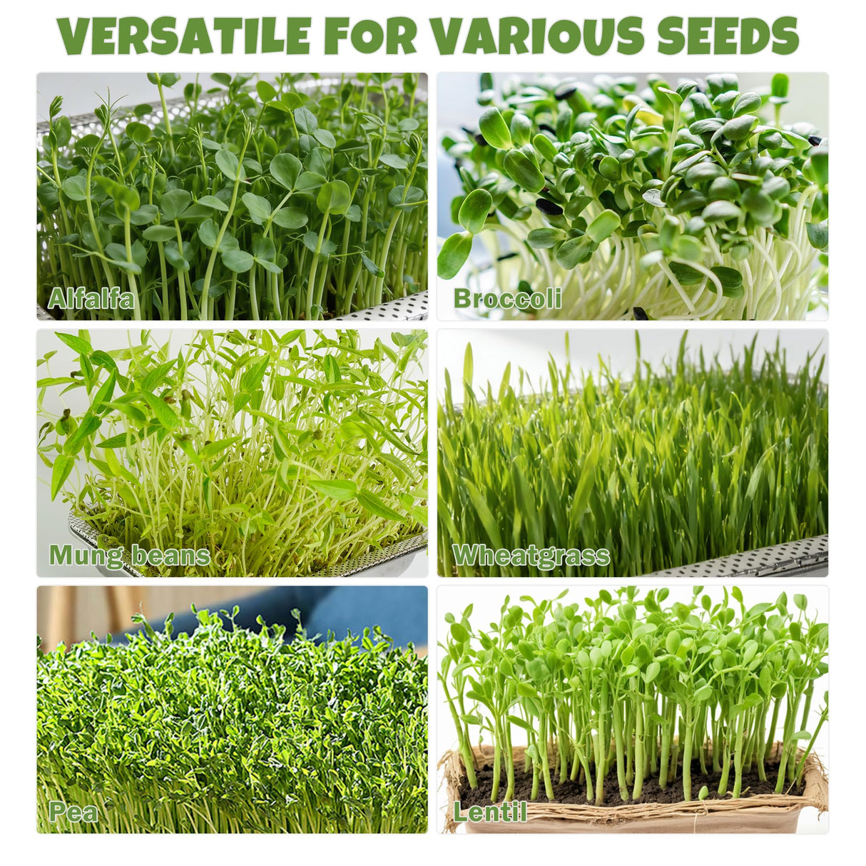 2 Pack Stainless Steel Seed Sprouter Trays, 2-Tier Soil-Free Microgreens Growing Kit, Sprouting Tray with Cover Lids & Mesh Pads for Sprouts Beans Alfalfa Wheatgrass (10.6" * 7.9" * 1.9")