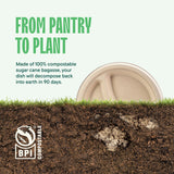 100% Compostable, 3 Compartment, Disposable Paper Plates [125-Pack] - {PFAS Free} - {BPA Certified} - [9 Inch] Heavy Duty Biodegradable Bagasse Sectional Lunch Trays + Dividers - Divided Platte Tray