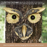 Bits and Pieces - 'Owl Face' Tree Hugger - Yard Decoration - Whimsical Tree Sculpture – Outdoor Tree Face - Garden Decoration - Garden Peeker Yard Art