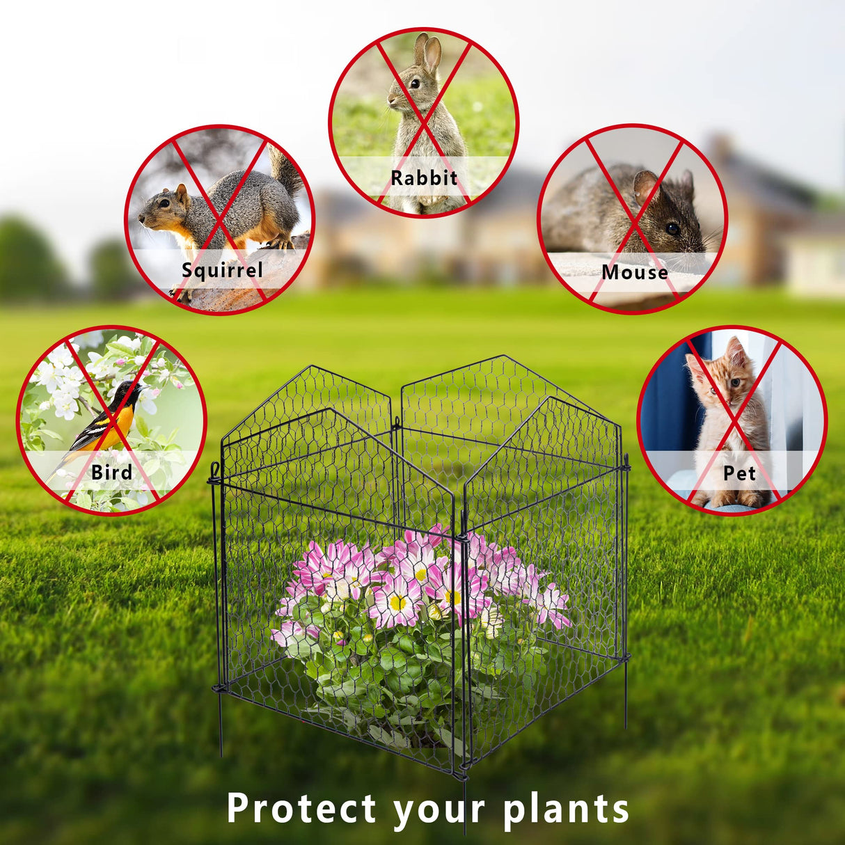 DECOHS 4 Packs Chicken Wire Cloche Plant Protectors from Animals Garden Plant Cage Protector - Wire Plant Protectors to Keep Animals Out