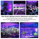 Uallhome 2 Pack LED Grow Light Panel 200W Lamp for Indoor Plants, Full Spectrum with White Blue Red UV IR LEDs for 4x4ft Coverage Grow Tent Greenhouse Veg and Bloom Seedlings Hydroponics
