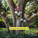 OrchidHug Universal Orchid Mounting Ring – Open Adjustable Design Fits All Orchid Sizes | Mount Orchids on Trees or Walls | Flexible Green Coated Steel with Stainless Screws | Easy Install | 4 Pack