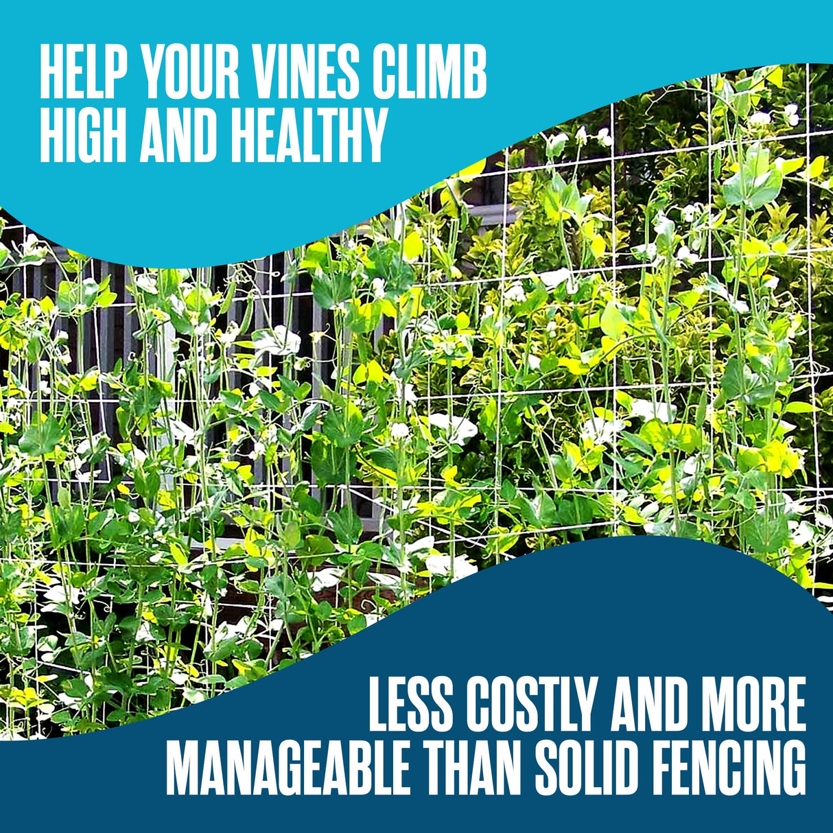 Trellis Netting, Hortonova Netting, Scrog Net, Trellis Net, 6x6 Squares