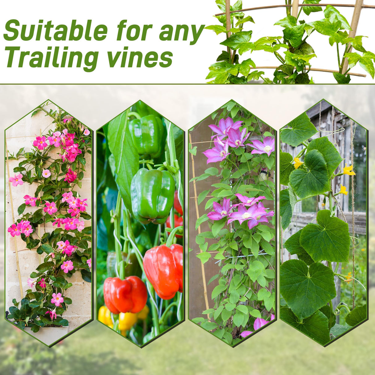 Avalution 10 Pack Bamboo Trellis for Climbing Plants, 4 FT Garden Ladder Trellis for Potted Plants Indoor, Fan-Shaped Small Plant Support Trellis for Houseplants Ivy Hoya Vine Monstera