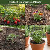 DHAMPOOH Garden Cloches for Plants, Outdoor Plant Protectors, 10 Pack, Dome