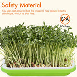 Gardzen 5-Pack Sprouts Growing Kit, Bean Sprouts Tray, Soil-Free Sprouting Tray, Ideal for Mung, Wheatgrass, Indoor Gardening