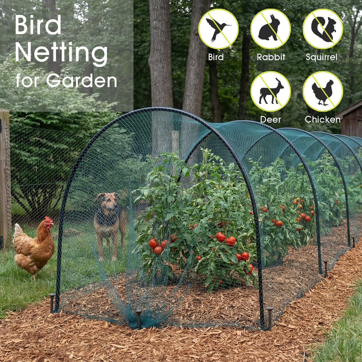 RIFNY Bird Netting for Garden Protection, 13 x 40FT Mesh Garden Netting