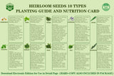 Meekear 10 Herb Seeds Garden Starter Grow Kit with Green Pots, Markers, Soil Discs, Watering, Herb Clipper, Complete Indoor Potted Plant Growing Set for Kitchen DIY