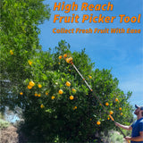 EXTEND-A-REACH 5-30 ft Telescoping Fruit Picker Pole with Basket