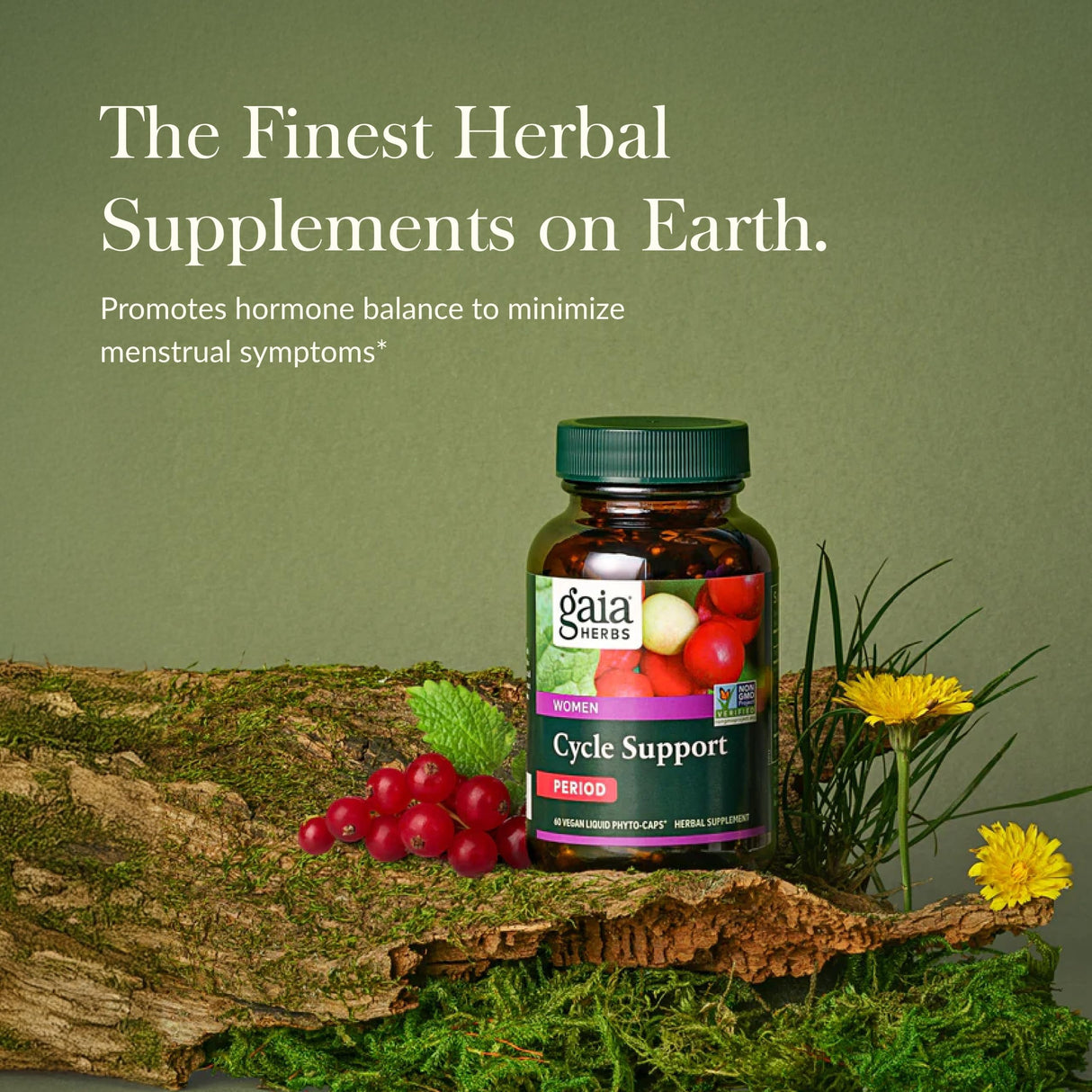 Gaia Herbs Cycle Support - Supports Hormone Balance & PMS Relief - Herbal Supplement with Vitex Berry & Schisandra - Free from Gluten, Dairy & Soy - 60 Vegan Capsules (30 Servings)