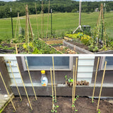 0.32”-0.4"/ 4 Feet Garden Stakes, Natural Bamboo Sticks Plant Stakes for Indoor and Outdoor Plants，Poles for Tomatoes, Beans, Potted Plants(50Pcs)