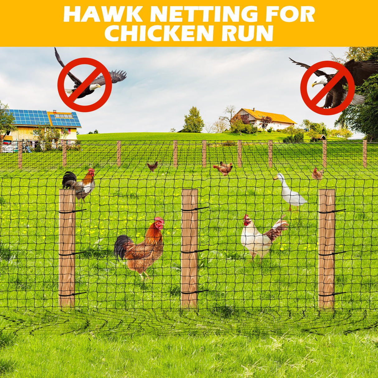 BSTPCOO 2.4" Mesh Nylon Bird Netting 50'x50', Poultry Netting, Chicken Net