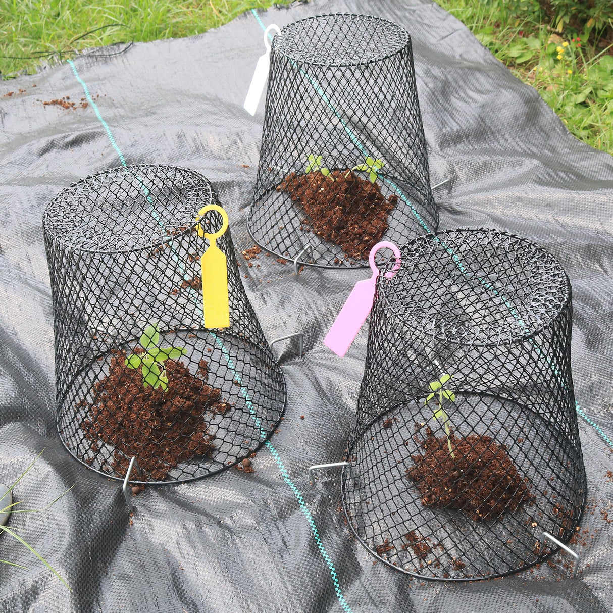 10 Pack 9.2 x 9.2 Inch Chicken Wire Cloche Plant Protectors from Animals