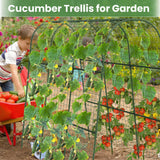 Cucumber Trellis, Metal Garden Arch Trellis for Raised Bed, 48 x 48inch U-Shape Garden Trellis for Climbing Plants Outdoor, Vegetables Fruit Plant Support with Netting, Gardening Supplies (Green)