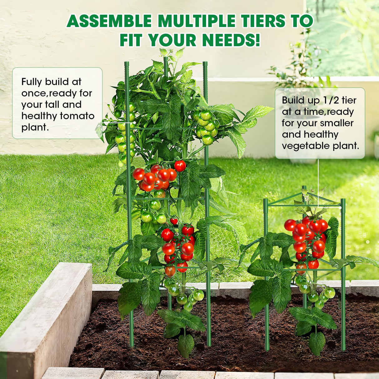 6 Pack Tomato Cages, 51.2in Tomato Plant Support Stakes Heavy-Duty, Garden Tomato Cages & Trellis for Climbing Vegetables, Tomatoes, Peppers, and Potted Plants(6)