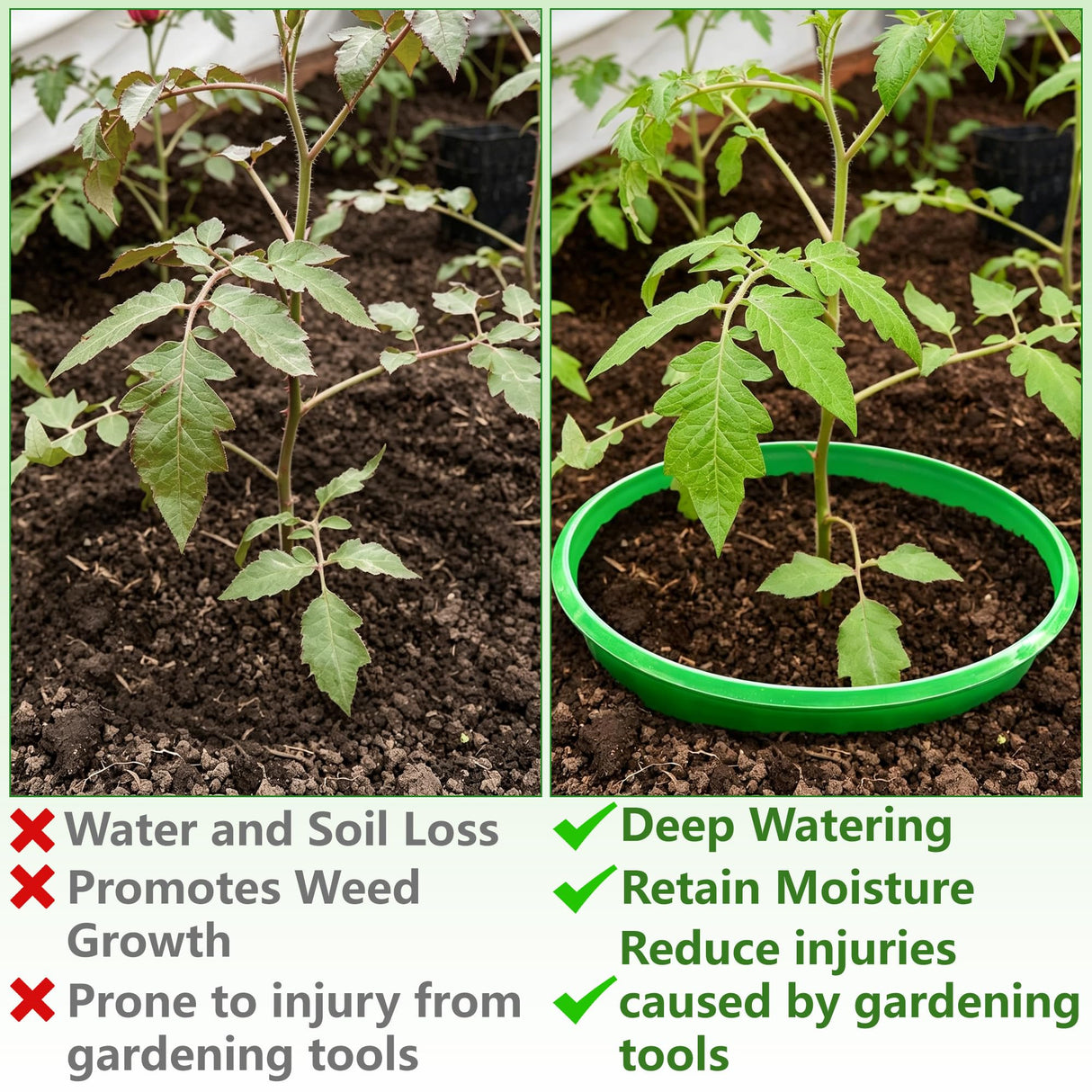 EBaokuup 6 Pcs 10 Inch Planting Grow Rings-Planting Protective Round Edging to Separate Rock and Pest-Planting Rings for Vegetables, Herbs and Flowers