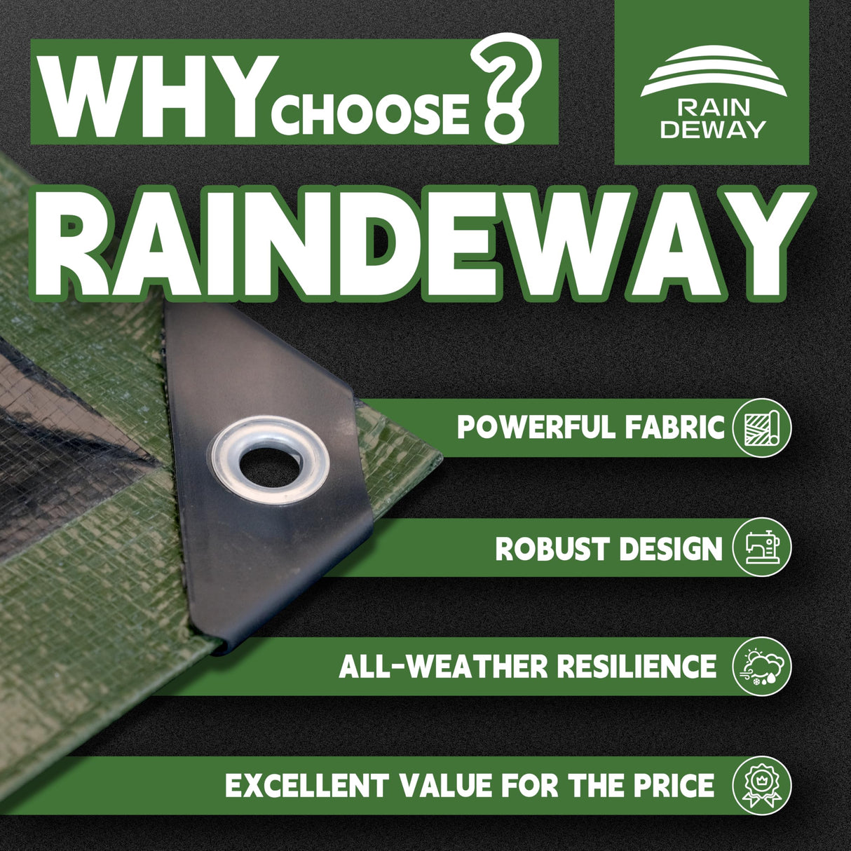RAINDEWAY Tarps 30x50 Feet,Large Tarp Waterproof,9Mil Thick Finished Size, Multipurpose Poly Tarp Cover with Metal Grommets and Reinforced Edges,Green/Black Tarpaulin