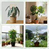 Xhwlgbal 2 Pcs 30'' Monstera Plant Trellis for Pots, Metal Garden Trellis for Outdoor Plant Climbers, Expandable Houseplant Support with Butterfly Design for Monstera Ivy Hoya Vine, Gold