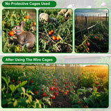 winemana 12 Set Plant Protectors Covers from Animals, 36 Pcs 24x12 Inch Metal Wire Garden Cages with Stakes & Ties, Outdoor Protection to Keep Rabbits Chickens Out for Flowers Vegetables (Black)