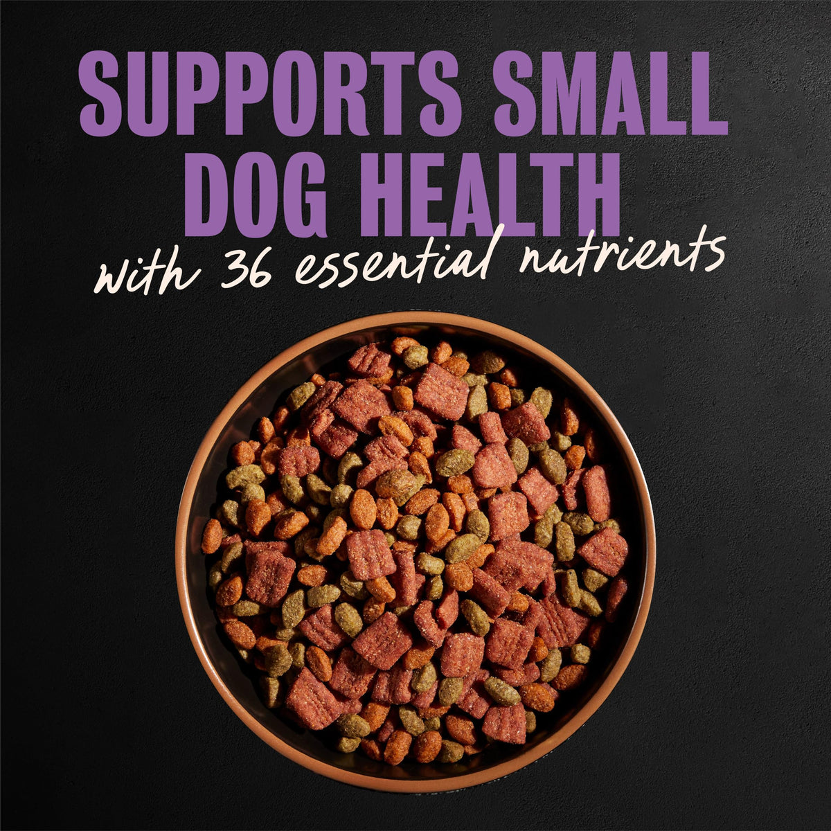 Cesar Small Breed Dry Dog Food, Filet Mignon & Spring Vegetables, 12 lb