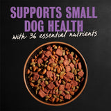 Cesar Small Breed Dry Dog Food, Filet Mignon & Spring Vegetables, 12 lb