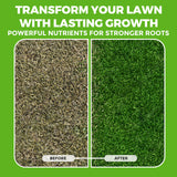 Covington Liquid Lawn Aerator (32oz) – Soil Conditioner & Softener for Lawns & Gardens – Loosens Clay & Compacted Soil for Better Water & Nutrient Absorption – Liquid Aeration Concentrate, Made in USA