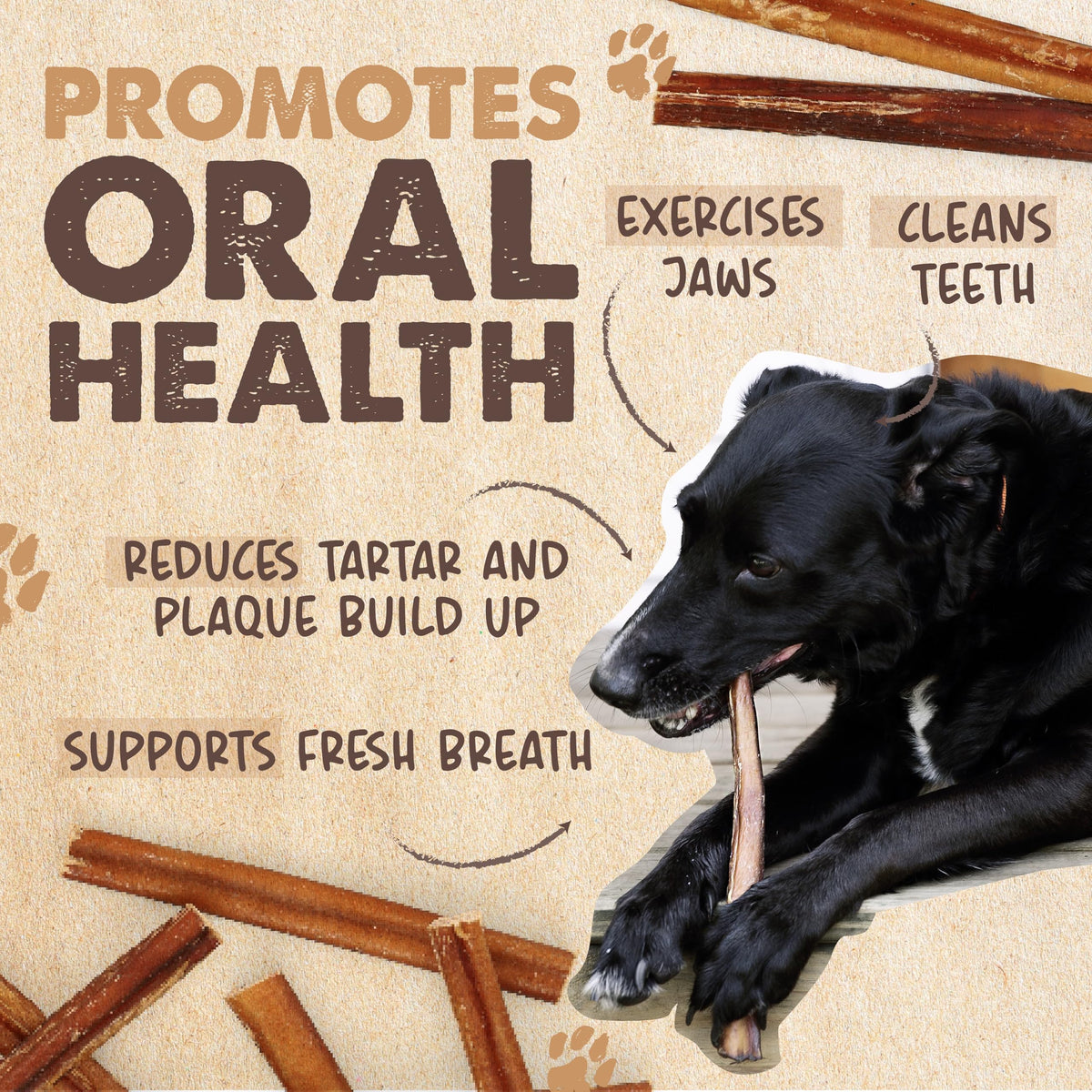 Mighty Paw 12" Bully Sticks for Dogs - Large, Medium and Small Dog Chew