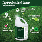Endurant Turf Colorants - Fairway Spray On Green Grass Paint for Lawns - Revives Dry, Patchy Yards - Dark Grass Hue - Easy to Use, Concentrated Turf Grass Dye - Covers Approx 10,000 Sq Ft - 1 Gal