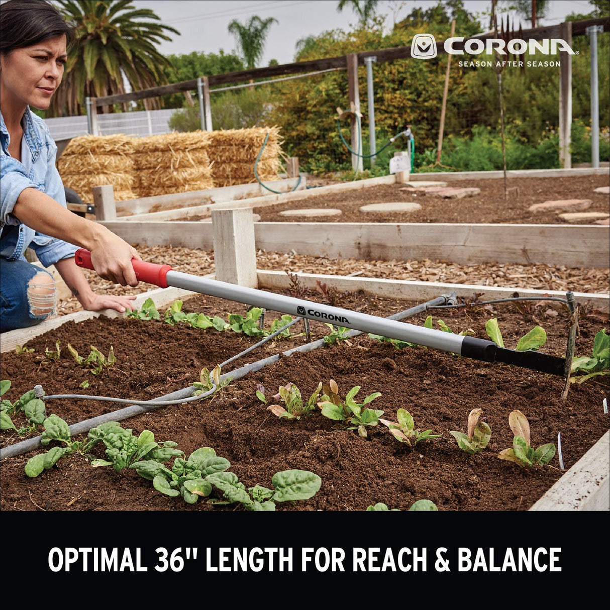 Corona GT 3244 Extended Reach Hoe and Cultivator, Red, No Size,40.16 x 9.65 x 5.51 inches, Gray
