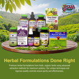 Herbs Etc. Lung Tonic - Lung Supplement for Bronchial Support - Healthy Breathing Support with Mullein, Horehound & Grindelia - 120 Softgels