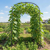 SUNYRISY 71" x 47" x 83" Garden Arch Trellis for Climbing Plants Outdoor