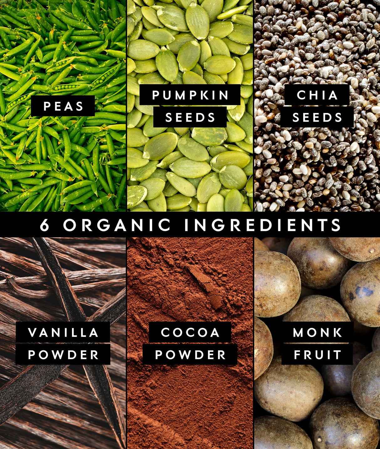 Truvani Vegan Pea Protein Powder | Chocolate | 20g Organic Plant Based Protein | 18 Servings | Keto | Gluten & Dairy Free | Low Carb | No Added Sugar