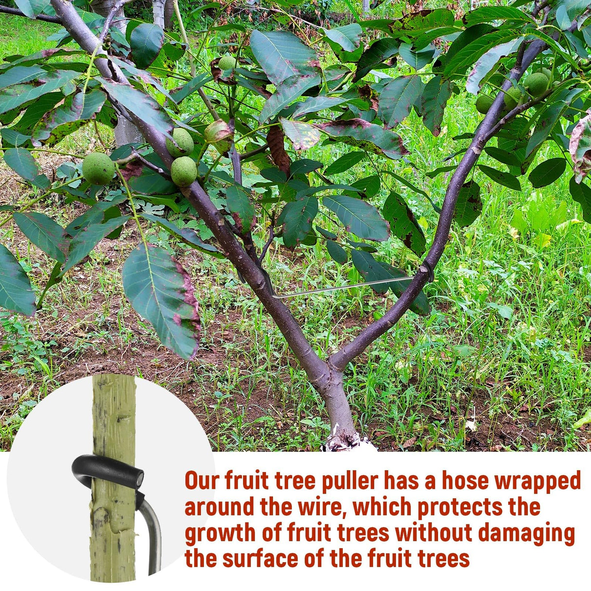 MorningRo 25 Pcs Fruit Trees Limb Spreader 10 Inch Tree Branch Puller Spreader with Plastic Hose Wrapped, Spreading Crotch Open Angles Branches Support Bending Tool for Shaping Seedlings Flowers