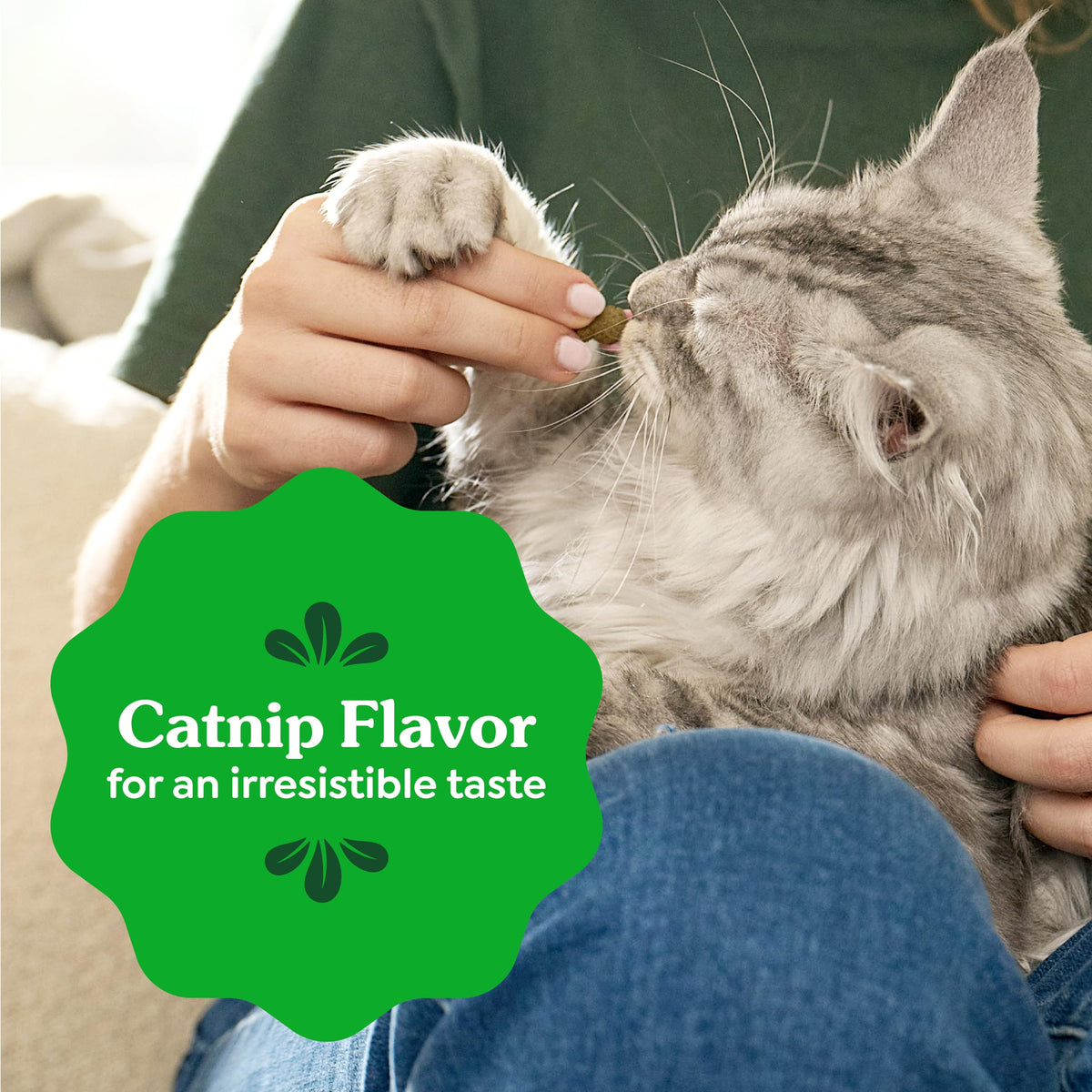 Greenies Feline Natural Dental Cat Treats, Catnip Flavor, 21 oz
