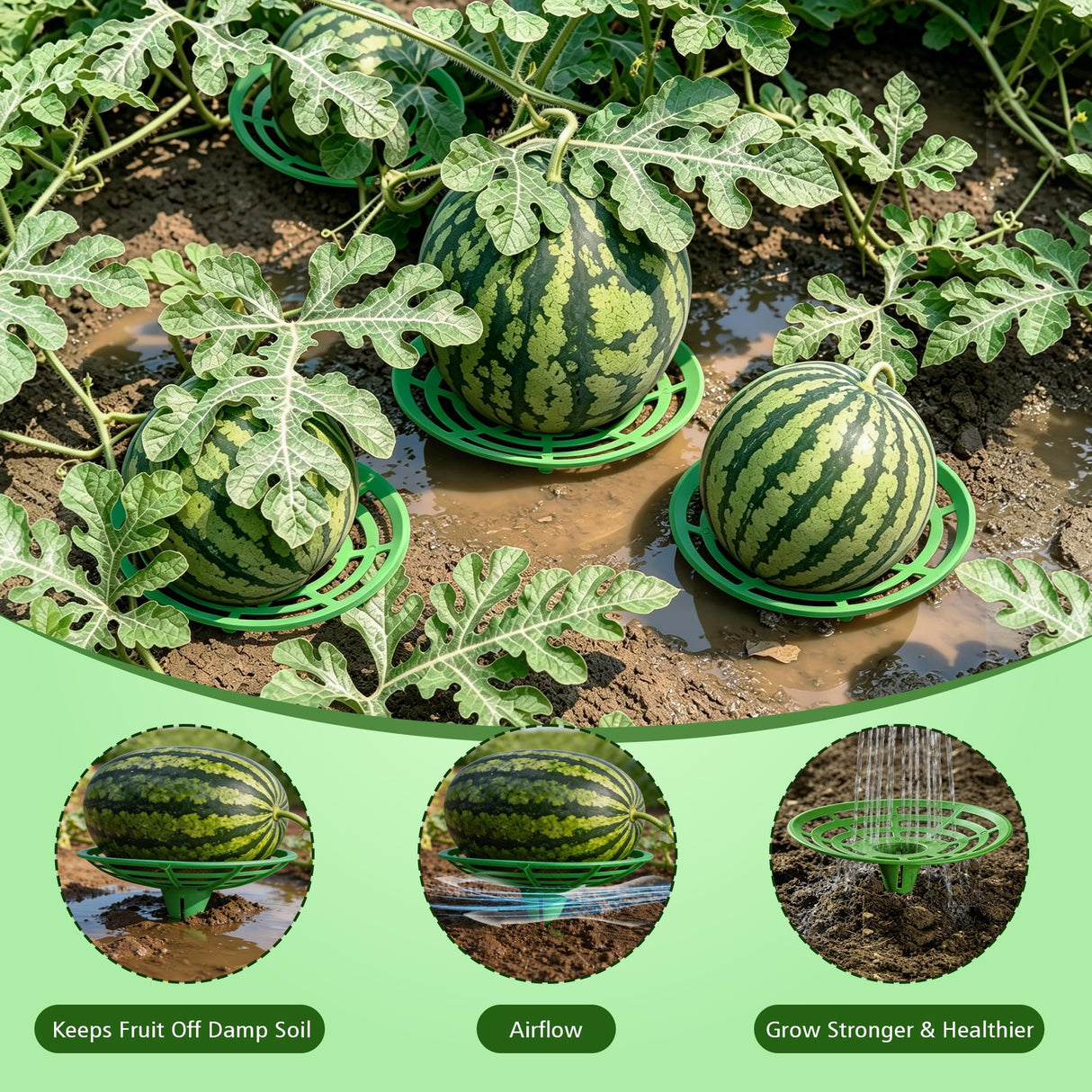 10 Packs Melon Cradles Trellis – Stable Fruit Support Stands to Keep Watermelons, Pumpkins & Cantaloupes Off Soil, Melon Holder Growing Frame Reusable Garden Plant Holders for Raised Beds & Backyard