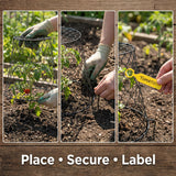 DHAMPOOH Garden Cloches for Plants, Outdoor Plant Protectors, 10 Pack, Dome