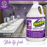 OdoBan Professional Disinfectant and Odor Eliminator Concentrate, Made in the USA, Lavender Scent, 4-Pack, 1 Gallon Each