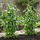 Thealyn 4 Pack 23 Inch Plant Trellis for Potted Plants