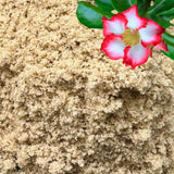 GARDENWISE Fine Sand for Plants – Horticultural Sand for Succulents, Cactus, Potting Mixes, Terrariums & Decorative Indoor Gardens, Made in USA (3 quarts - 8.4 lbs)