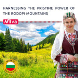 Nettle Shampoo - Helps Regulate Sebum Production, Reduce Dandruff & Ease Scalp Irritation - For Strong, Healthy Hair- 200ml