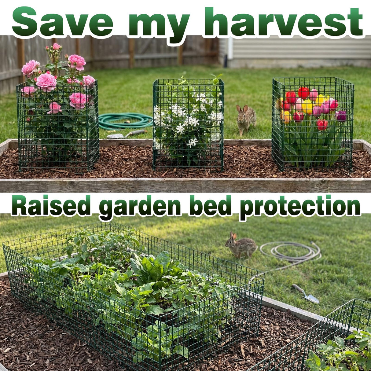 FTLKIBMD 8 Pack Extra Tall Plant Protectors from Animals, 12"x24" Wire Garden Cages for Large Plants Shrubs, 2mm Heavy Duty Metal Mesh Guard for Deer Rabbits, Reusable Garden Protection with Stakes