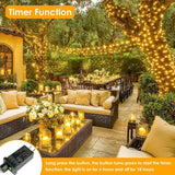 Extra Long 99Ft 300 LED Fairy Lights Plug in with Remote, Waterproof String Lights Outdoor & Indoor 8 modes with Timer, Twinkle Light for Girl's Room Garden Birthday Christmas Decorations (Warm White)
