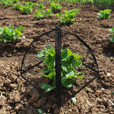 Strawberry Plant Protector,22 x22 x 22 Inch Cloche Dome for Plants